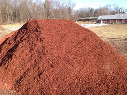 Red Cedar Mulch